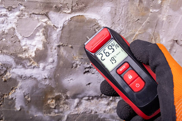 Best Mold Cleaning Services  in Faith, NC