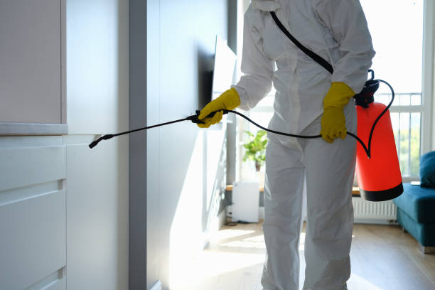 Best Mold Remediation  in Faith, NC